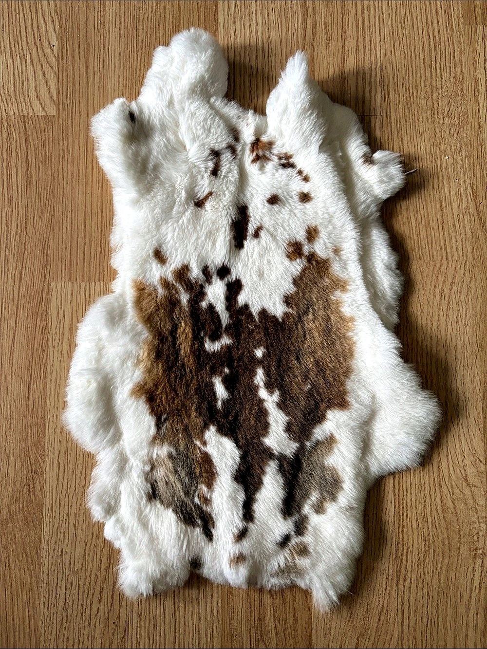 B0265 Rex rabbit hide craft supply
